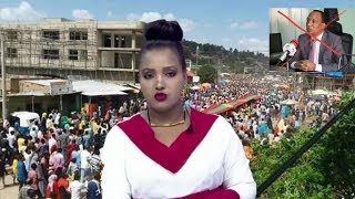 Oromo news oduu obn afaan oromoo [upl. by Adlar]