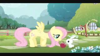 My Little Pony Friendship is Magic  MultiLanguage openings [upl. by Yarvis]