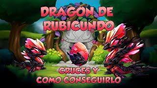 Dragón de Rubicundo cruces y cómo conseguirlo ⭐Dragon Mania Legends [upl. by Akiraa]