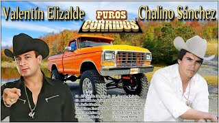 Valentín Elizalde  Chalino Sánchez  Top los artistas más talentosos  Canciones inmortales [upl. by Anneuq]