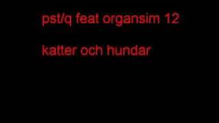 pst q feat organism 12 katter och hundar [upl. by Filberte]