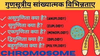 गुणसूत्र में संख्यात्मक विपथन  असुगुणिता Aneuploidyसुगुणिता Euploidy बहुगुणिता Polyploidy [upl. by Edward525]