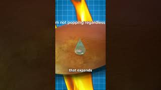 The REAL reason Why Some Popcorn Kernels Dont Pop Popcorn Science Explained [upl. by Crane773]