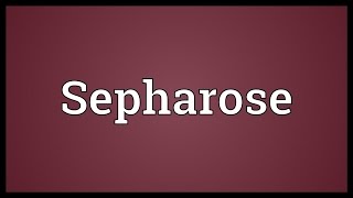 Sepharose Meaning [upl. by Semadar]