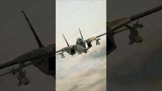 F14D Super Tomcat  Jolly Rogers Ace Combat 7 shorts youtubeshorts viralvideo [upl. by Aeli]