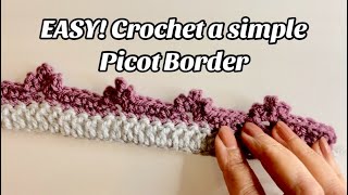 EASY CROCHET PICOT BORDER [upl. by Fillander]