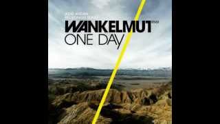 Asaf Avidan amp the Mojos  One Day  Reckoning Song Wankelmut Remix Club Mix [upl. by Crooks232]