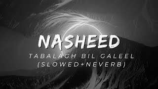 Nasheed  tabalagh bil galeel slowed  neverb [upl. by Ramat679]