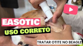 COMO USAR O EASOTIC DA VIRBAC PARA TRATAR OTITE NO BEAGLE USO CORRETO E NÃO FAÇA ISSO [upl. by Eenaj]