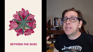 Between the Skies  Collected Hardcover Edition Review [upl. by Orferd]