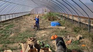 Growers Solution Greenhouse is Done for the Season [upl. by Phyllida]