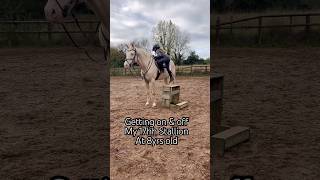 Getting on amp off 17hh Stallion horse horseriding equestrian pony showjumping horselover [upl. by Daphene]