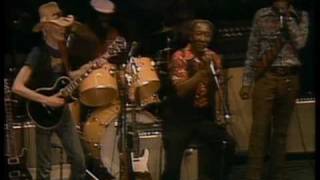 Muddy Waters  Got My Mojo Working  ChicagoFest 1981 [upl. by Nosyt]