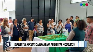 Repelentes Recetas caseras para ahuyentar mosquitos  Telefe Rosario [upl. by Ennayd383]