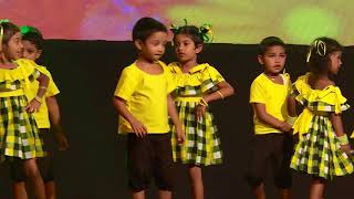 Educare Pre School  2018 Concert  Don Jin Jin [upl. by Chancey]