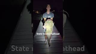 State record guys its a monster catfish cat follow [upl. by Oriane331]