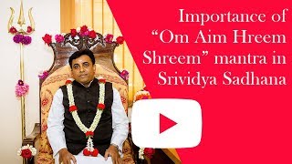 Importance of quotOm Aim Hreem Shreemquot mantra in Srividya Sadhana  Sri Sivapremananda [upl. by Annaitat]