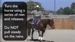 Reining Training Your Horse to Spin pt1 [upl. by Schrick]