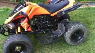 Atomik Feral 250cc atv quad bike idle walk around [upl. by Nolan527]