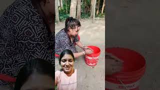 Kamina Dost🤣funnyshortsshortvideoviral [upl. by Aryaz]