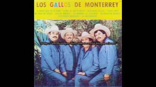 Los Gallos De Monterrey  La Enrredadera [upl. by Plume]