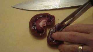 How to Prepare Kidneys [upl. by Faro]