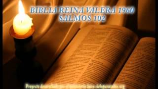 Biblia HabladaBIBLIA REINA VALERA 1960 SALMOS 102 [upl. by Case]