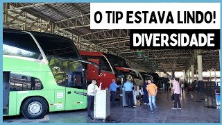 BOA DIVERSIDADE DE ÔNIBUS  MOVIMENTAÇÃO RODOVIÁRIA DE RECIFE [upl. by Aiahc]