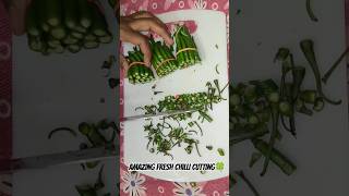 Amazing fresh chilli cutting🍀 shorts reels trending music [upl. by Yadroc]