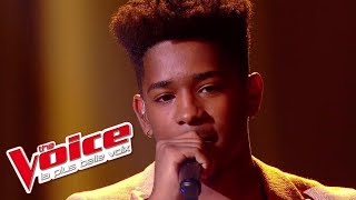 Lisandro Cuxi  « LEnvie daimer » Les 10 Commandements  The Voice 2017  Live [upl. by Martainn]