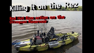 Get Your Fishing Rod Ready For Some Red Hot Bass Action On The Occoquan Reservoir [upl. by Letha]