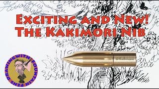 Exciting and New Drawing with the Kakimori Nib Does it solve the Dip Pen Blues [upl. by Spiro645]