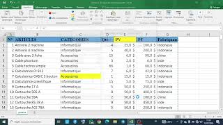 Tableau croisé dynamique en Excel [upl. by Ramsden932]