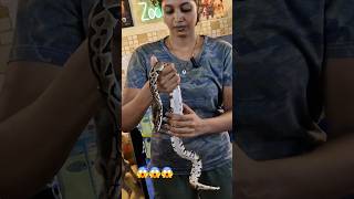 விளையாட்டுப் பிள்ளை பைத்தான்  python in Tamil [upl. by Nibbs336]