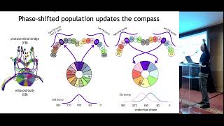 Vivek Jayaraman  The theory and practice of studying attractor dynamics in a multiomic system [upl. by Eilyr677]