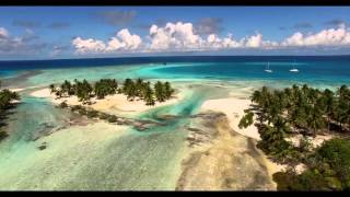 Clip TIKEHAU FAFARUA LODGE Web HD 1920x1080 [upl. by Felice]