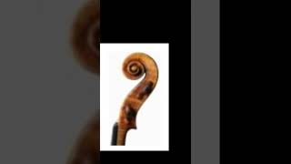 Antonio Stradivari â€˜Willemotteâ€™ violin 1734 [upl. by Vipul]