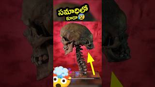 🤯 రాత్రుళ్ళు మాత్రం వింత సౌండ్స్  Edward Modrake  telugu facts [upl. by Oileve953]