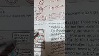 prepriming complex proteinsGenetics Biochem 2nd yr mbbs [upl. by Darreg811]