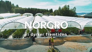 Norgro  Squash [upl. by Skillern]