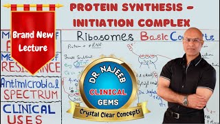 Protein Synthesis Initiation Complex Basics🩺 [upl. by Guy]