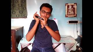 Laras Theme  Dr Zhivago  Harmonica amp Mandolin Cover by Kuntal Sil [upl. by Som]