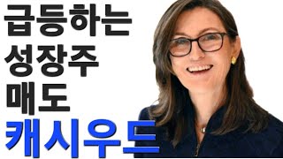 캐시우드 상승하는 팔란티어 매도 [upl. by Fuchs]