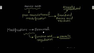 Non standard amino acids [upl. by Ayela]