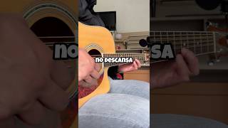 El Guitarrista OBSESIVO reels musica guitarrista guitar [upl. by Lokim]