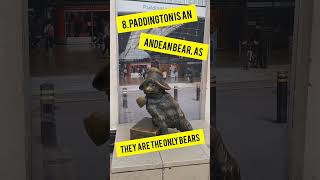 10 Things You Didnt Know About Paddington Bear But Should paddingtonbear didyouknow [upl. by Nemrac518]