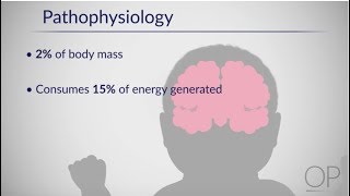 Therapeutic Hypothermia Treatment of Hypoxic Ischemic Encephalopathy Part 1 by D Casey [upl. by Odnanreh]