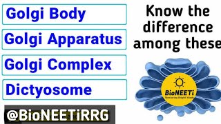 Golgi Body or Apparatus or Complex  Endomembrane System  Cell Unit Of Life [upl. by Canica]