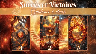 🌈Succès et Victoires🌈 🦋 Guidance à 3 Choix  Tirage de cartes 🦋 [upl. by Leoy]