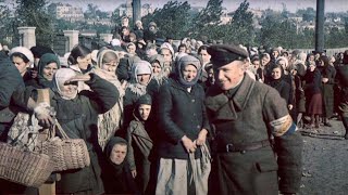 Einsatzgruppen The Nazi Death Squad WWII Documentary [upl. by Namreg]